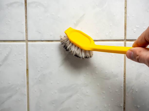 Best Preventive Mold Services in Mount Healthy Heights, OH